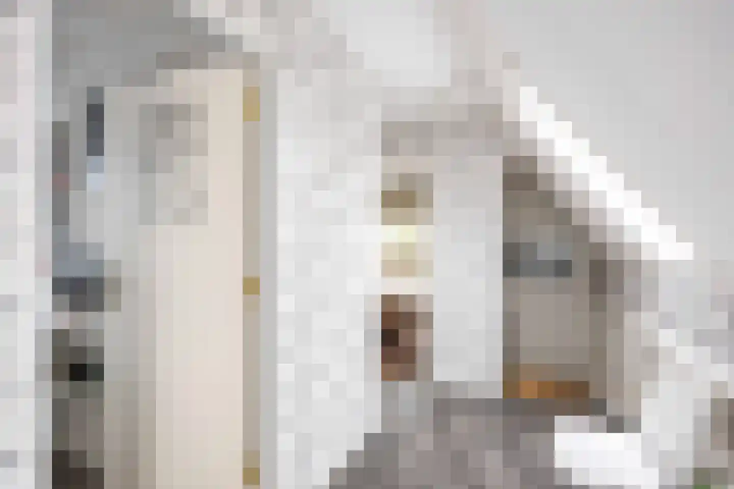 Leegeweg 13 Groningen thumbnail 33