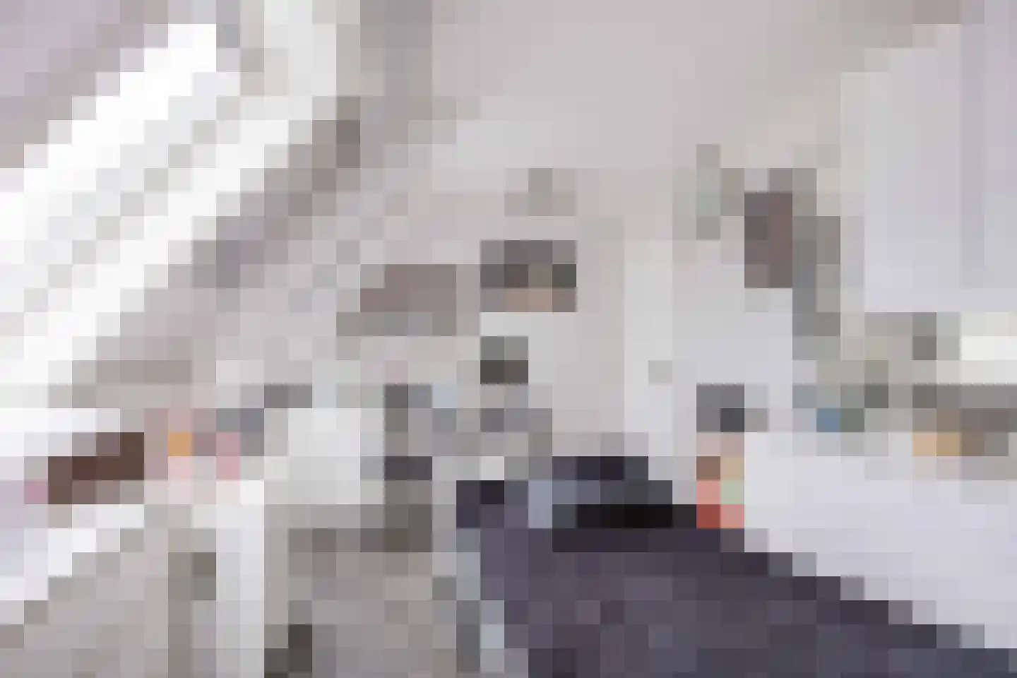 Leegeweg 13 Groningen thumbnail 41