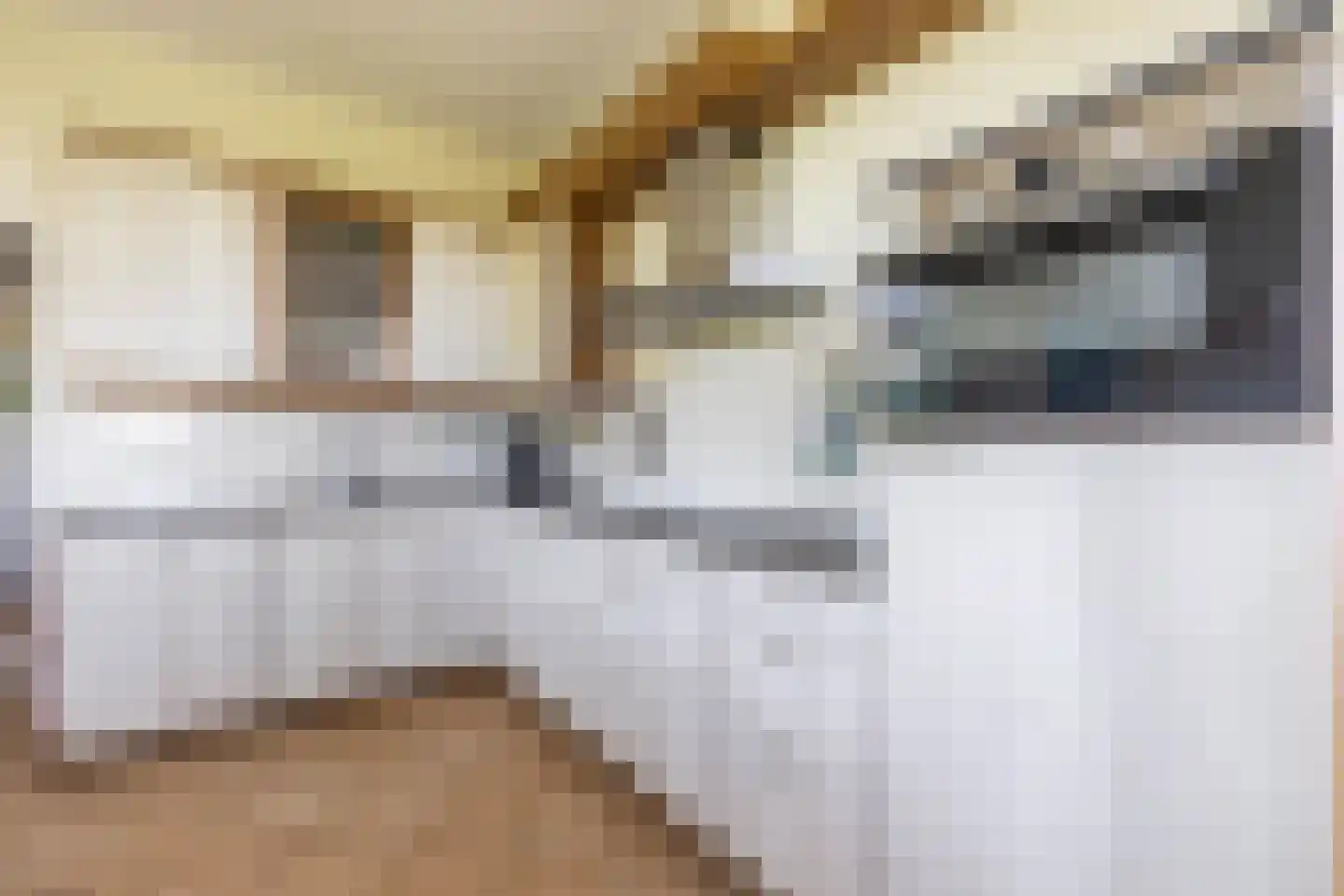 Leegeweg 3 Groningen thumbnail 23