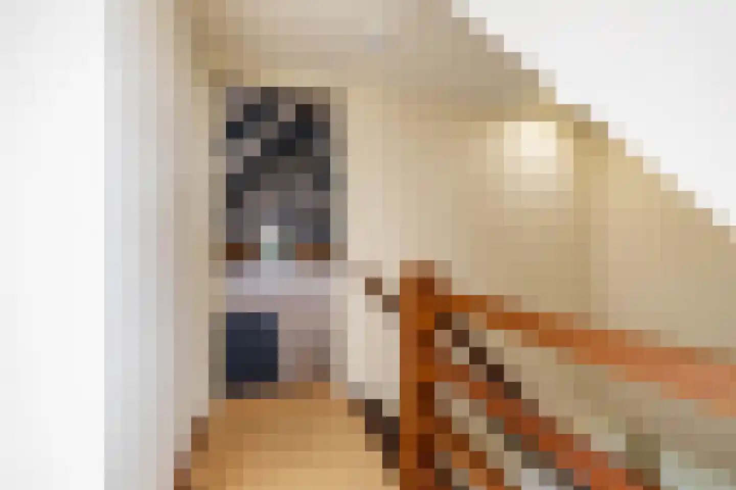 Leegeweg 3 Groningen thumbnail 35
