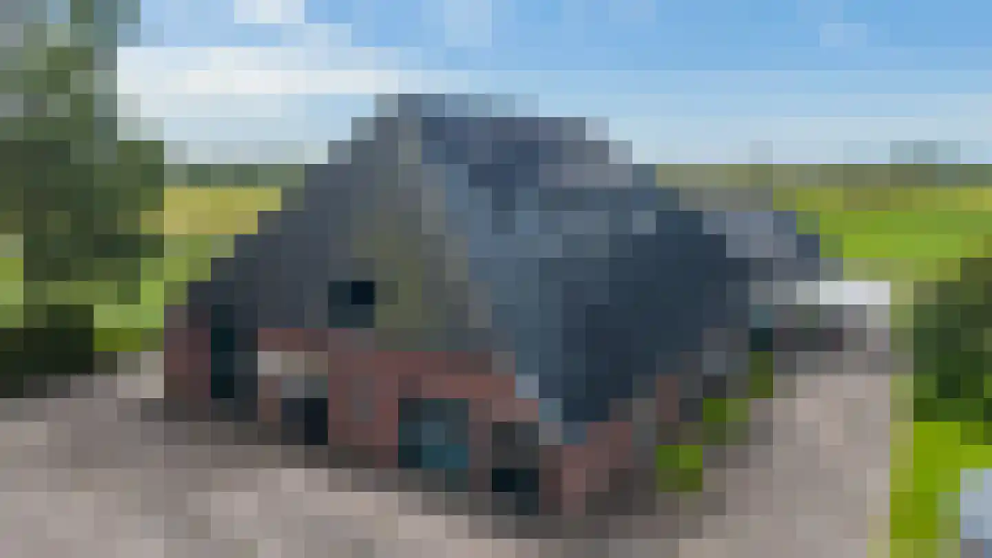 Leegeweg 3 Groningen thumbnail 4
