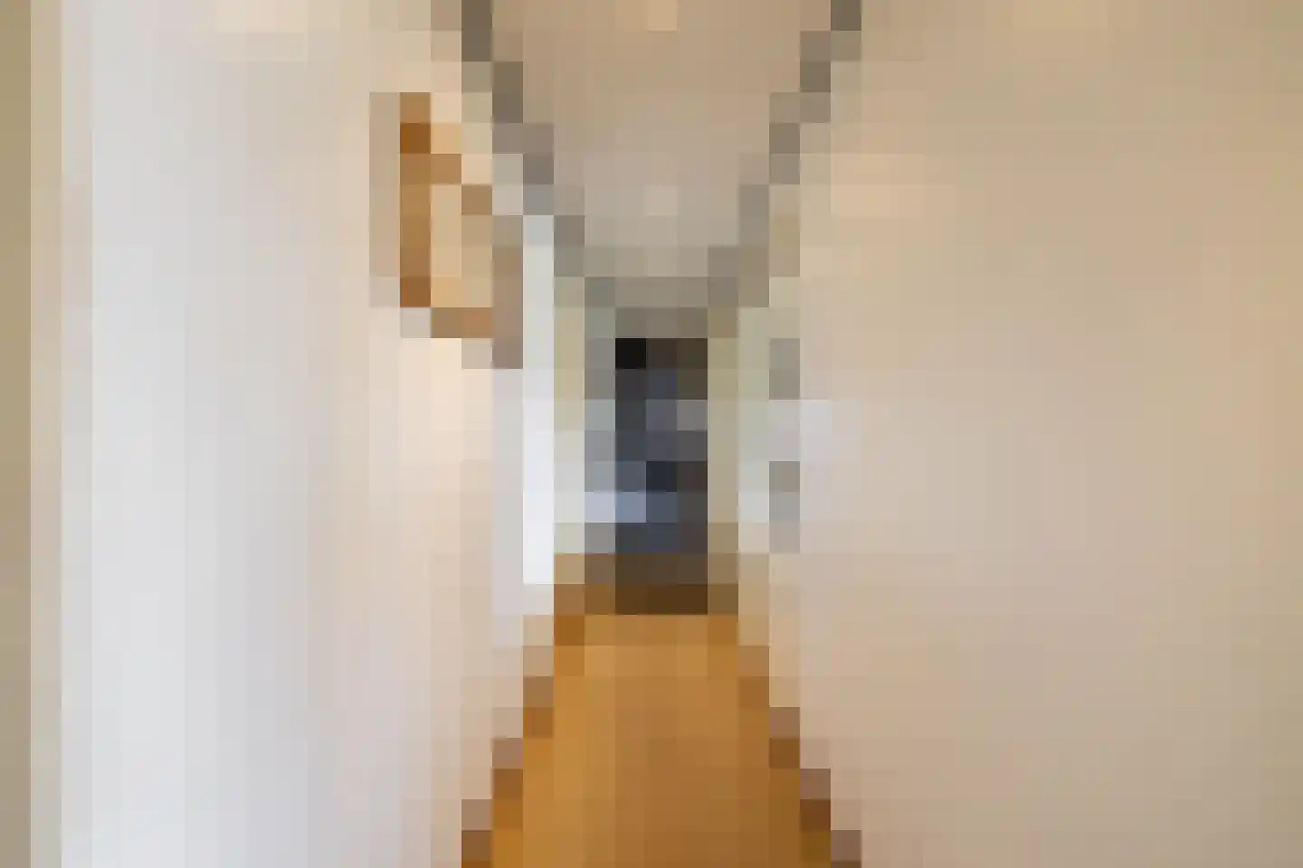 Leegeweg 3 Groningen thumbnail 41