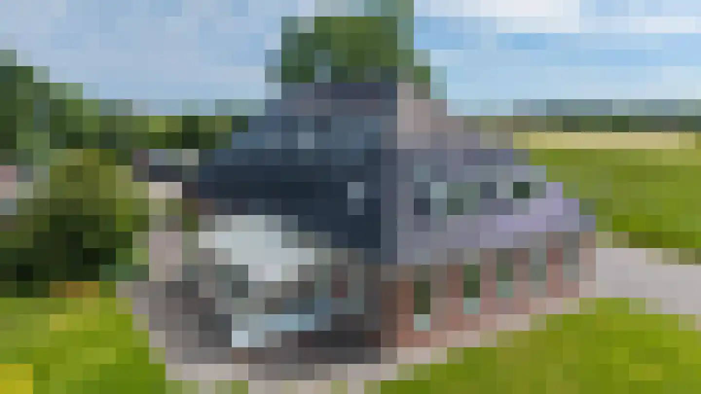 Leegeweg 3 Groningen thumbnail 5
