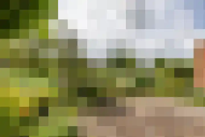 Leegeweg 4 6 Groningen thumbnail 16