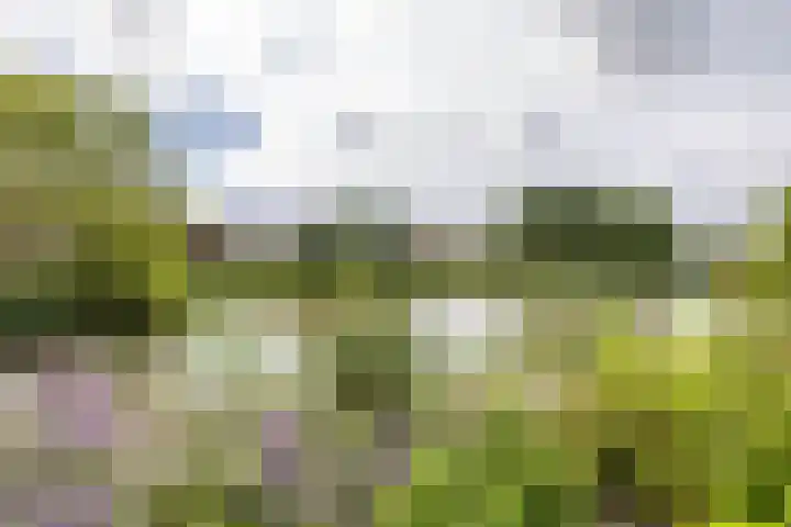 Leegeweg 4 6 Groningen thumbnail 17