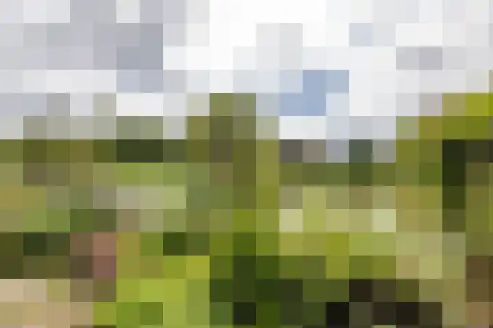 Leegeweg 4 6 Groningen thumbnail 18
