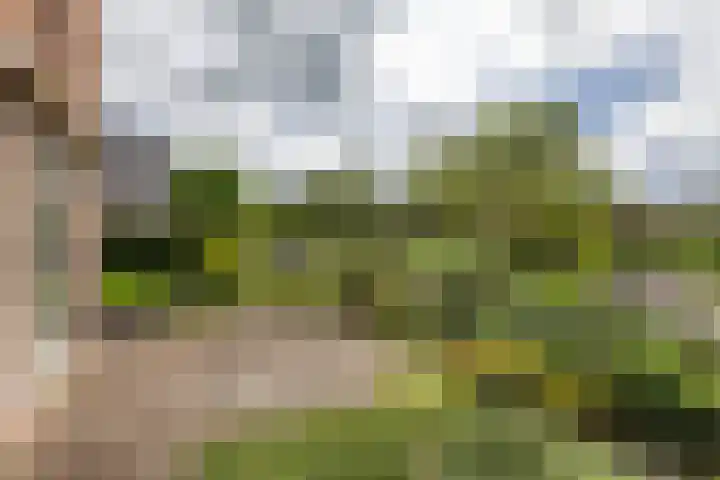 Leegeweg 4 6 Groningen thumbnail 19
