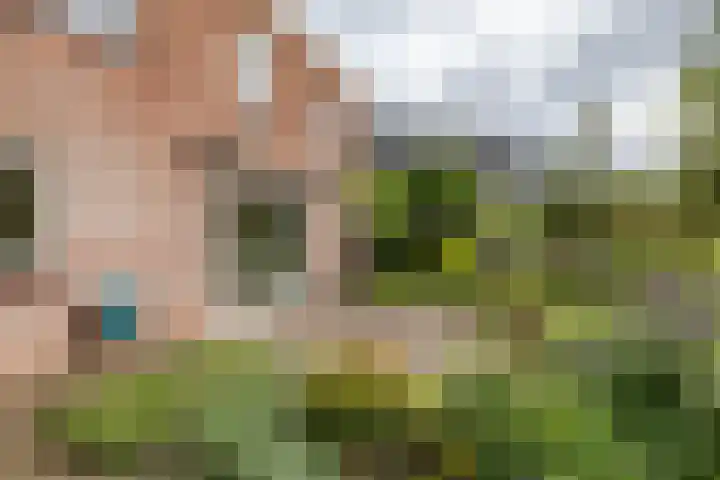 Leegeweg 4 6 Groningen thumbnail 20
