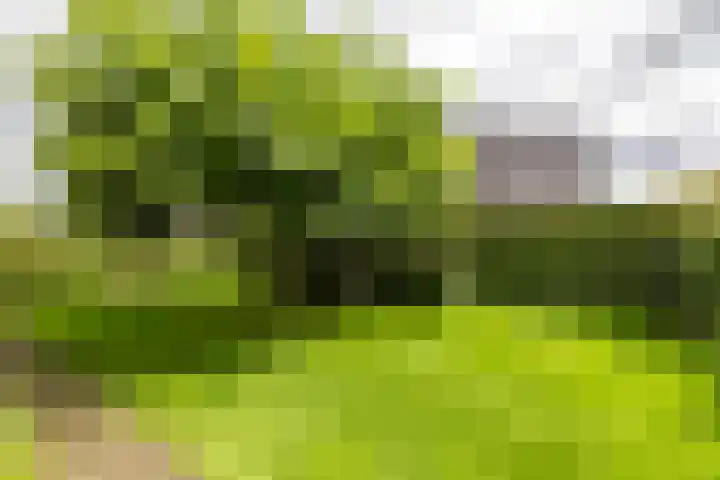 Leegeweg 4 6 Groningen thumbnail 22