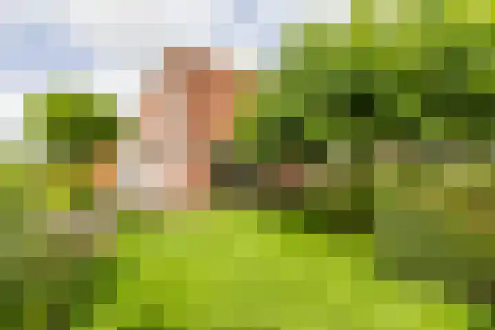 Leegeweg 4 6 Groningen thumbnail 23