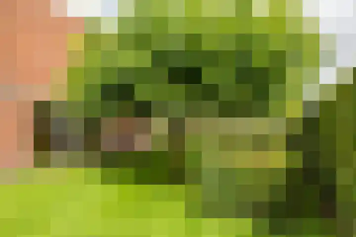 Leegeweg 4 6 Groningen thumbnail 24