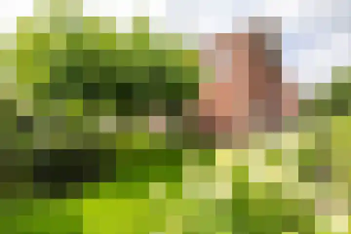 Leegeweg 4 6 Groningen thumbnail 26