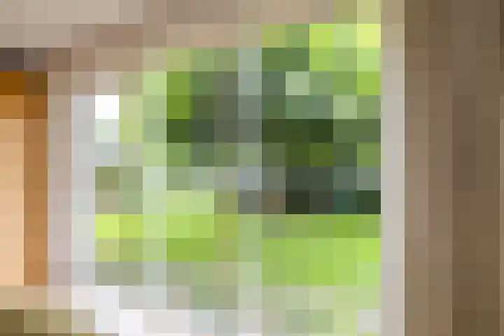 Leegeweg 4 6 Groningen thumbnail 28