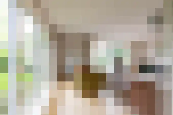 Leegeweg 4 6 Groningen thumbnail 32