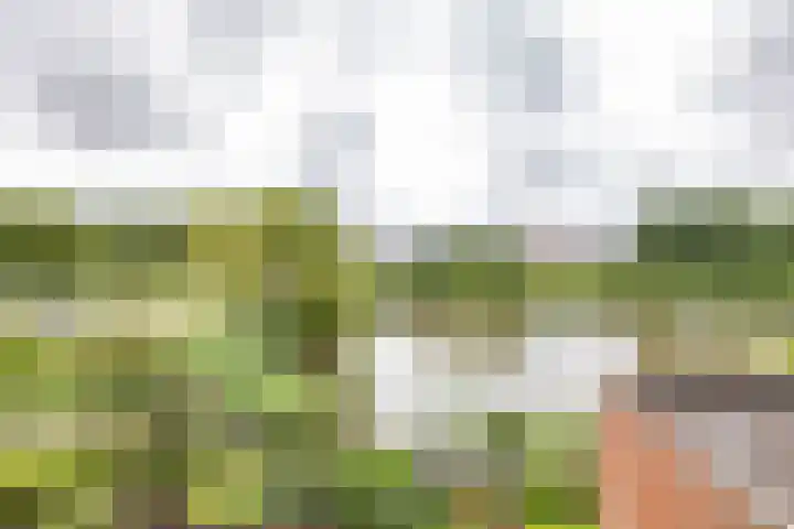 Leegeweg 4 6 Groningen thumbnail 52