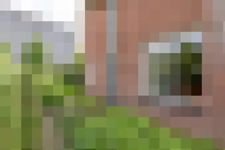 Leegeweg 4 6 Groningen thumbnail 8