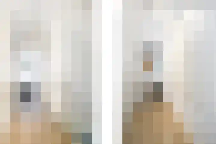 Leeghwater 116 in Hillegom