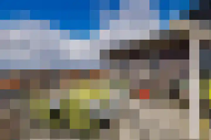 Leeghwater 116 Hillegom thumbnail 30