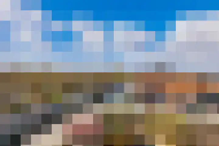 Leeghwater 116 Hillegom thumbnail 32