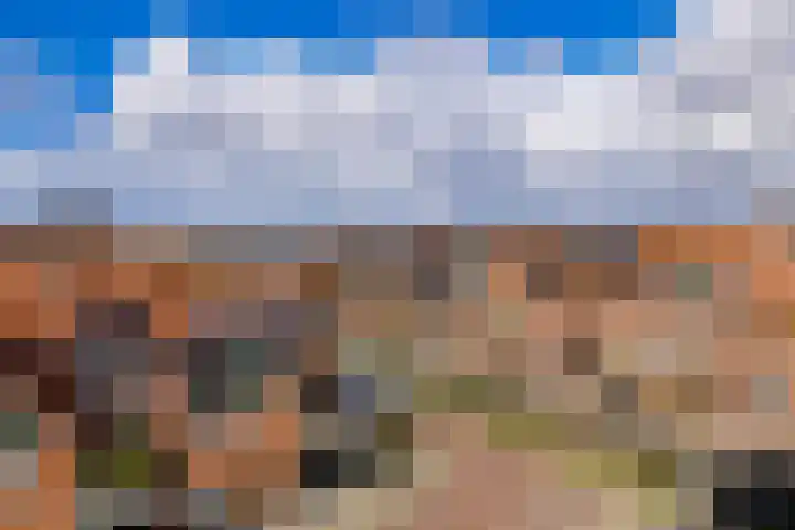 Leeghwater 116 Hillegom thumbnail 33