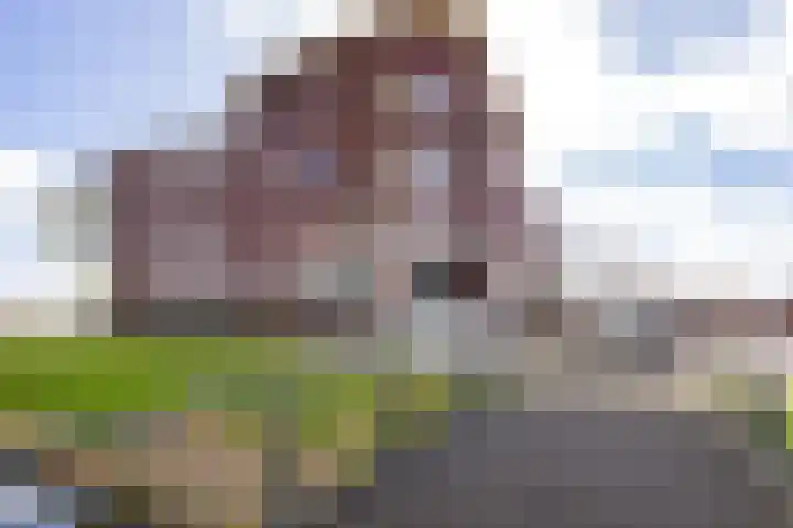 Leeghwater 116 Hillegom thumbnail 4