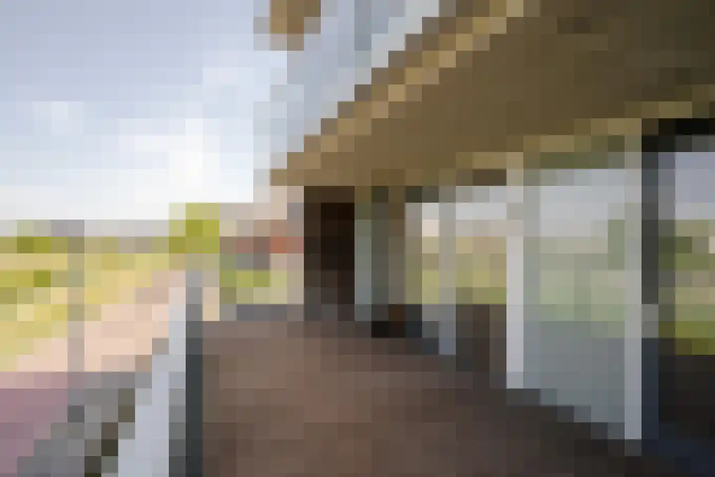 Leeghwater 2 Hillegom thumbnail 15