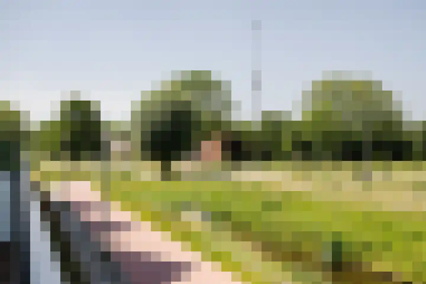 Leeghwater 2 Hillegom thumbnail 17