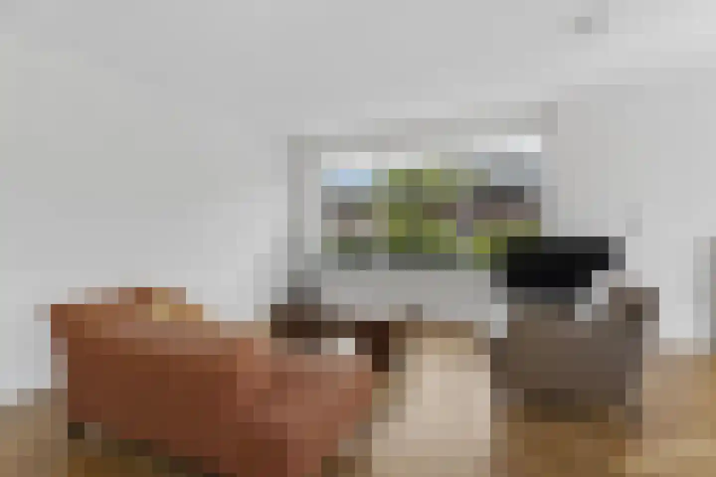 Leeghwater 82 Hillegom thumbnail 11