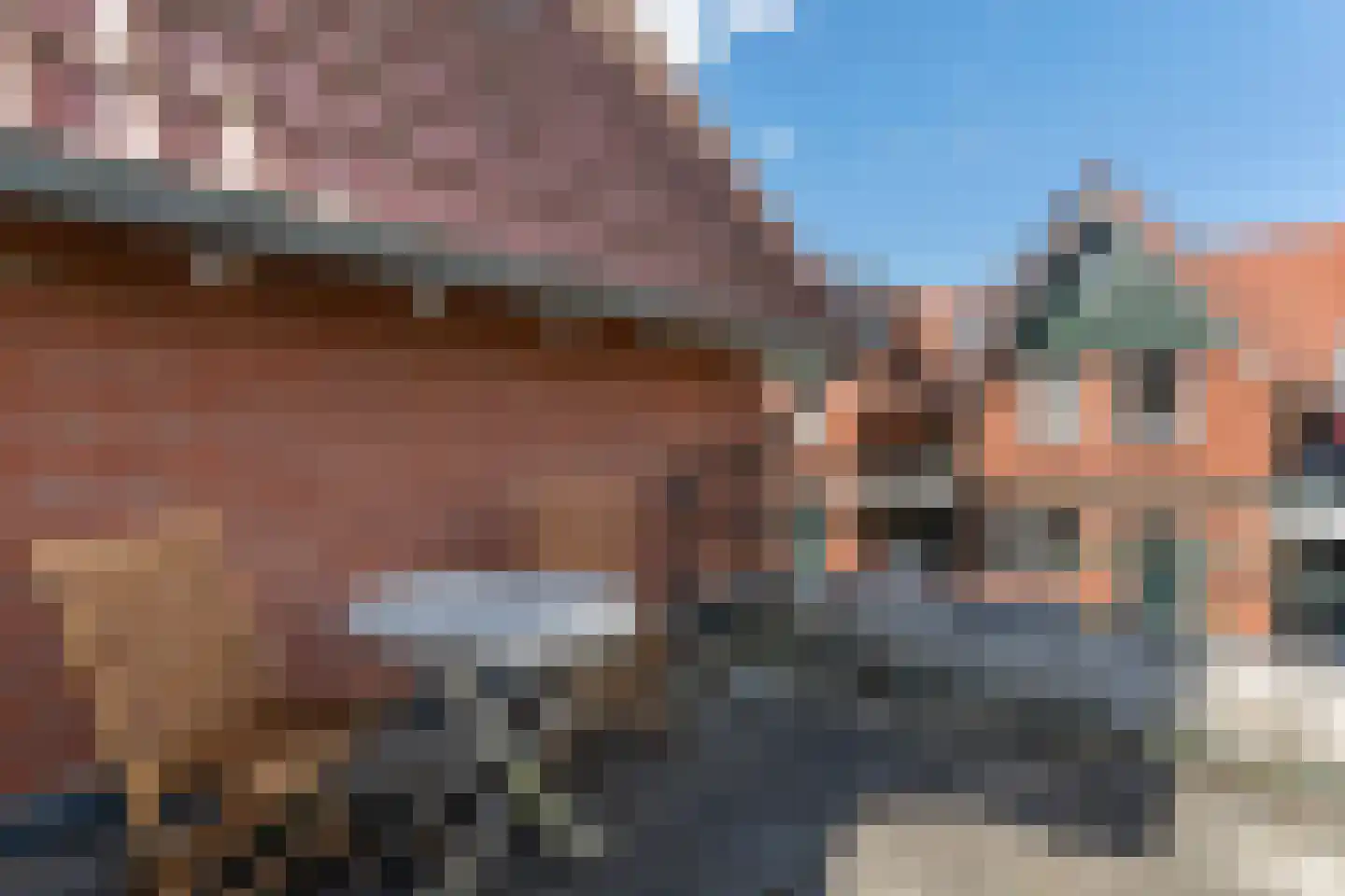 Leeghwater 82 Hillegom thumbnail 34