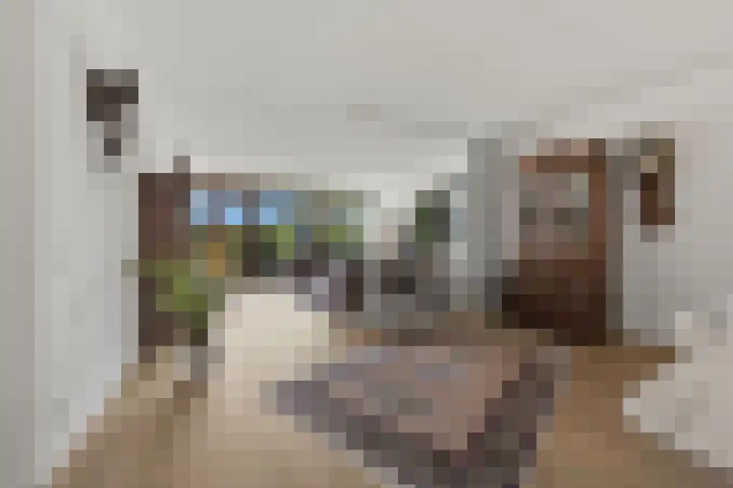 Leeghwaterkade 40 Den Haag thumbnail 13