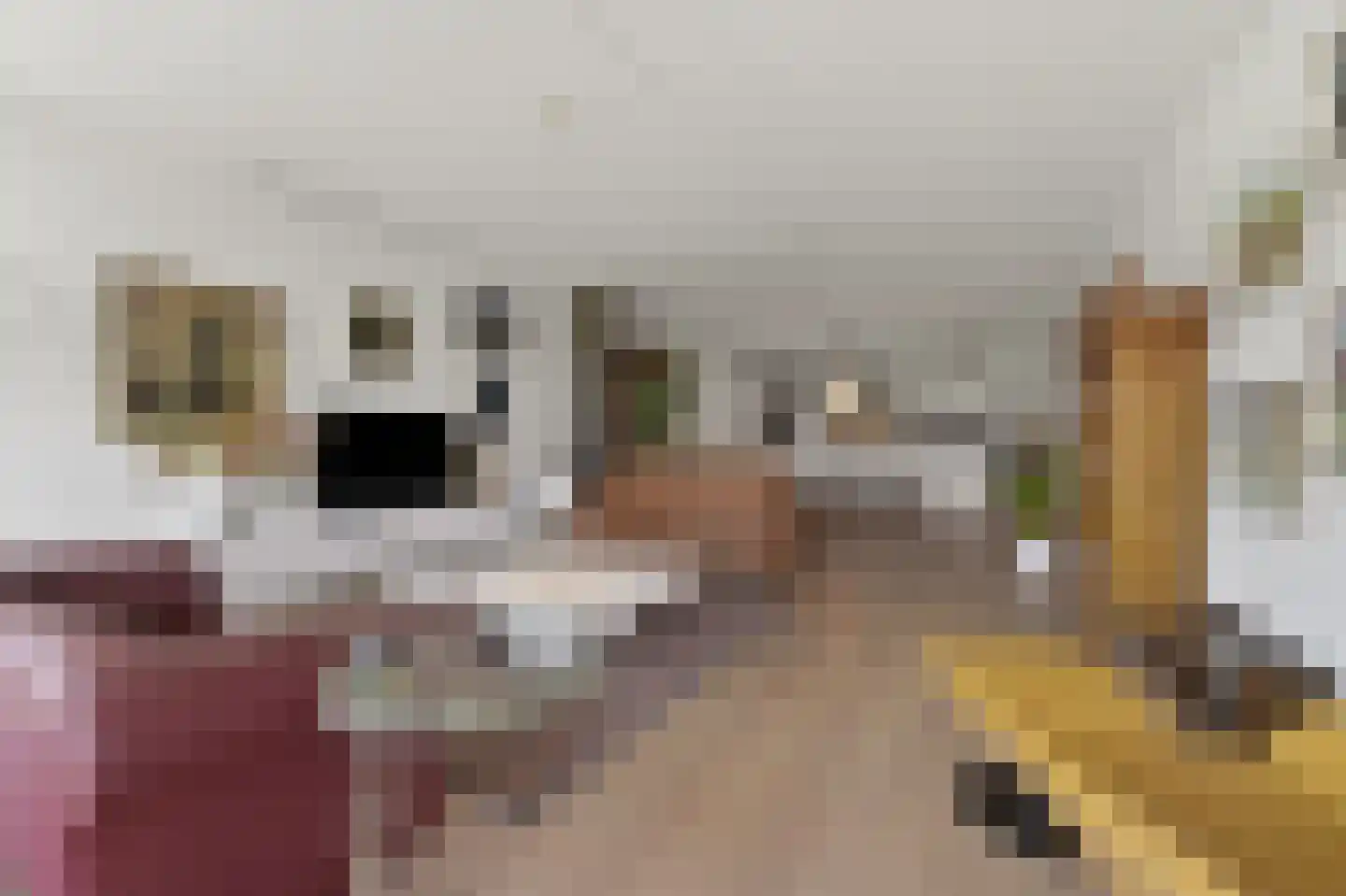 Leeghwaterkade 40 Den Haag thumbnail 9