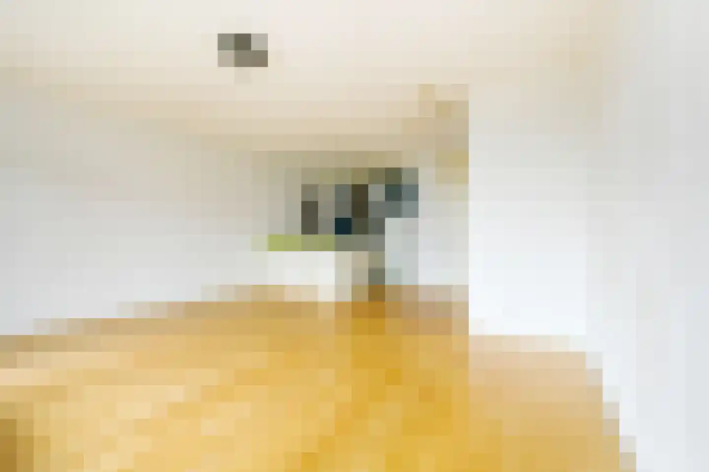 Leeghwaterkade 43 Den Haag thumbnail 18
