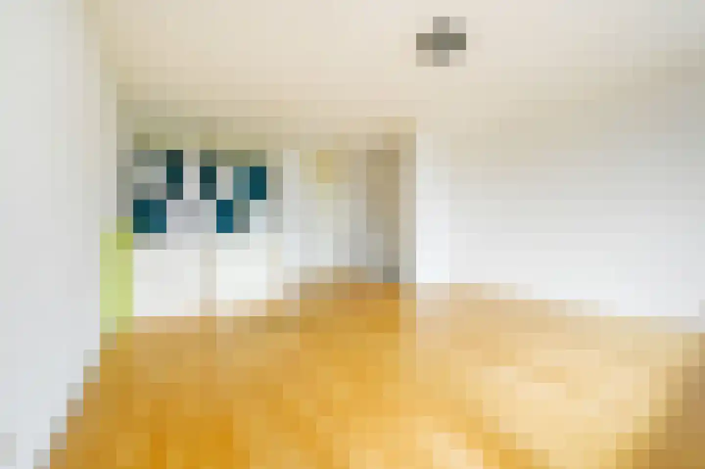 Leeghwaterkade 43 Den Haag thumbnail 19