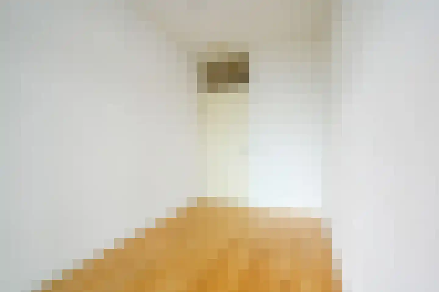 Leeghwaterkade 43 Den Haag thumbnail 30