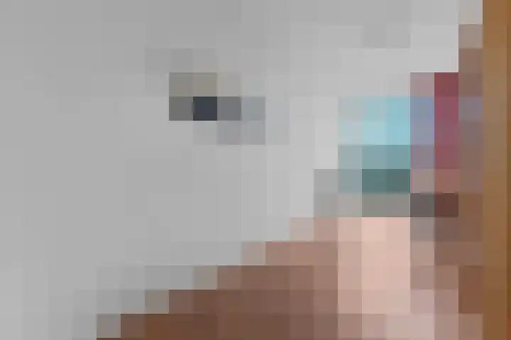 Leeghwaterkade 52 Den Haag thumbnail 34