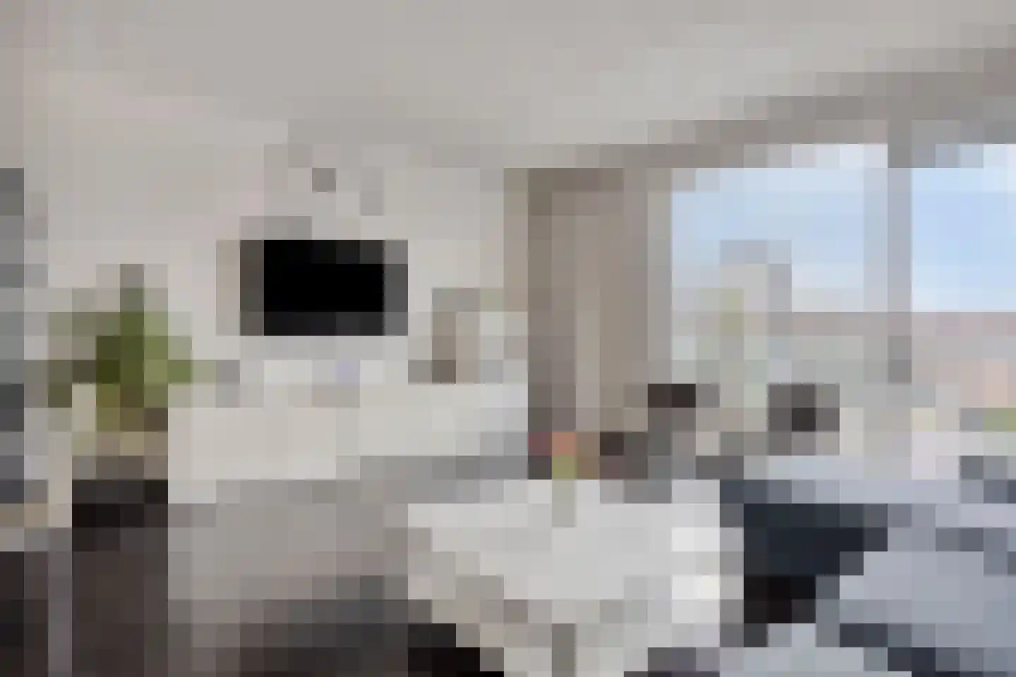 Leeghwaterkade 53 Den Haag thumbnail 10
