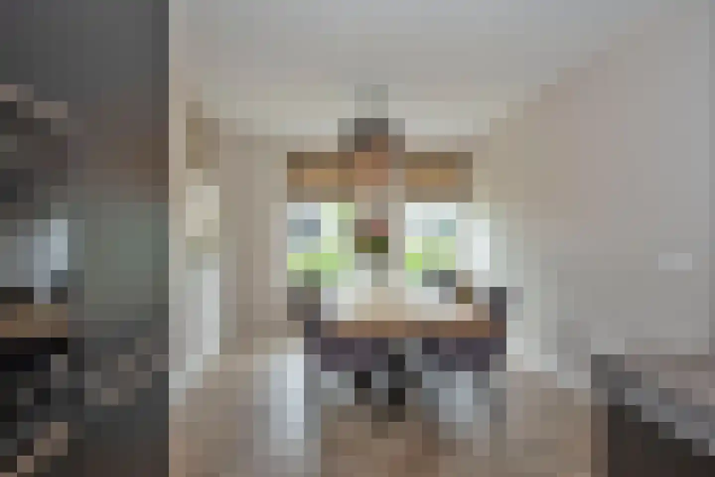 Leeghwaterlaan 1 Almelo thumbnail 12