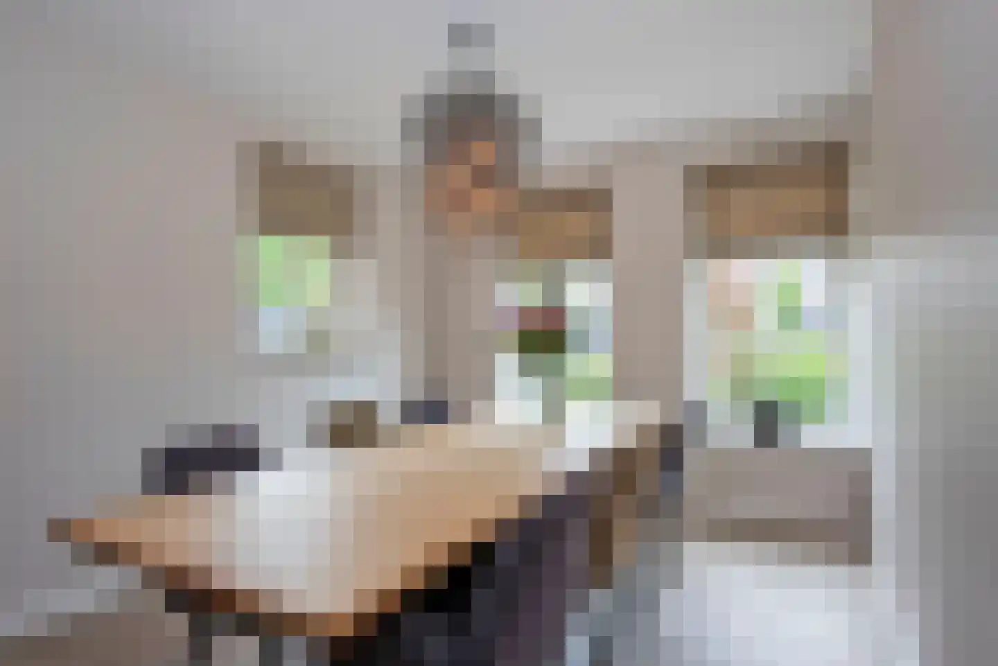 Leeghwaterlaan 1 Almelo thumbnail 13