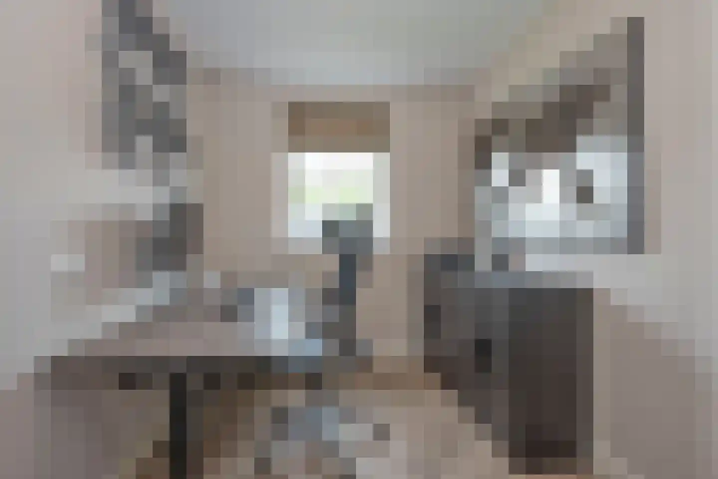 Leeghwaterlaan 1 Almelo thumbnail 15