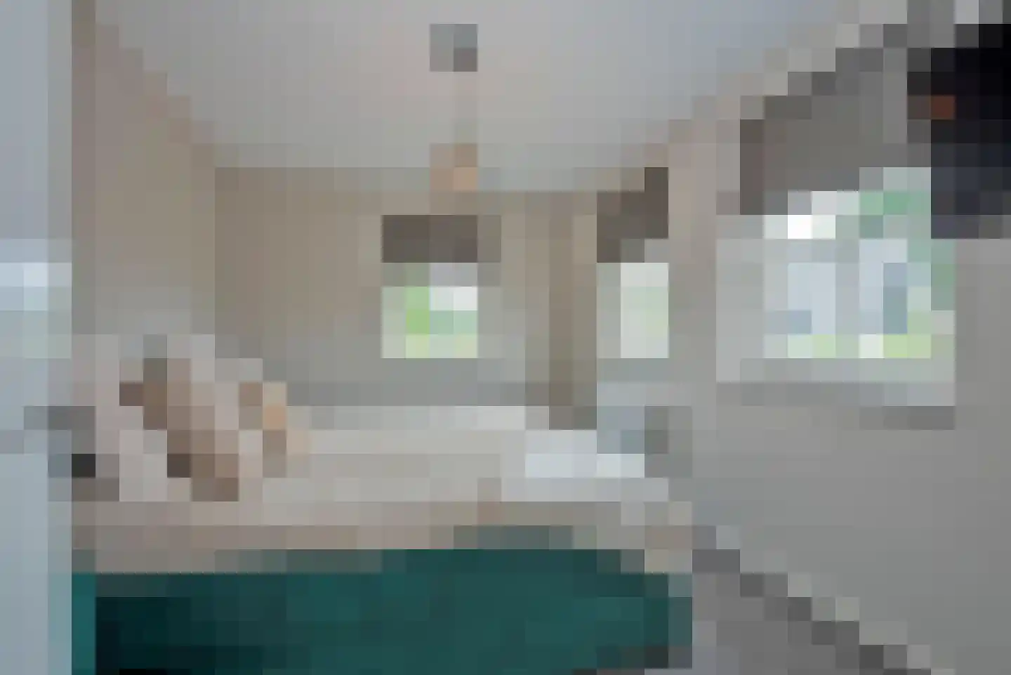 Leeghwaterlaan 1 Almelo thumbnail 19