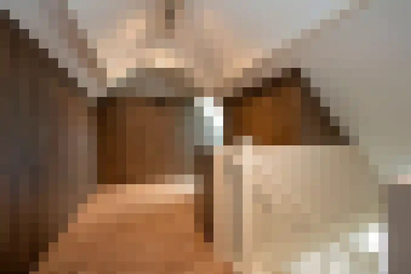 Leeghwaterlaan 1 Almelo thumbnail 33