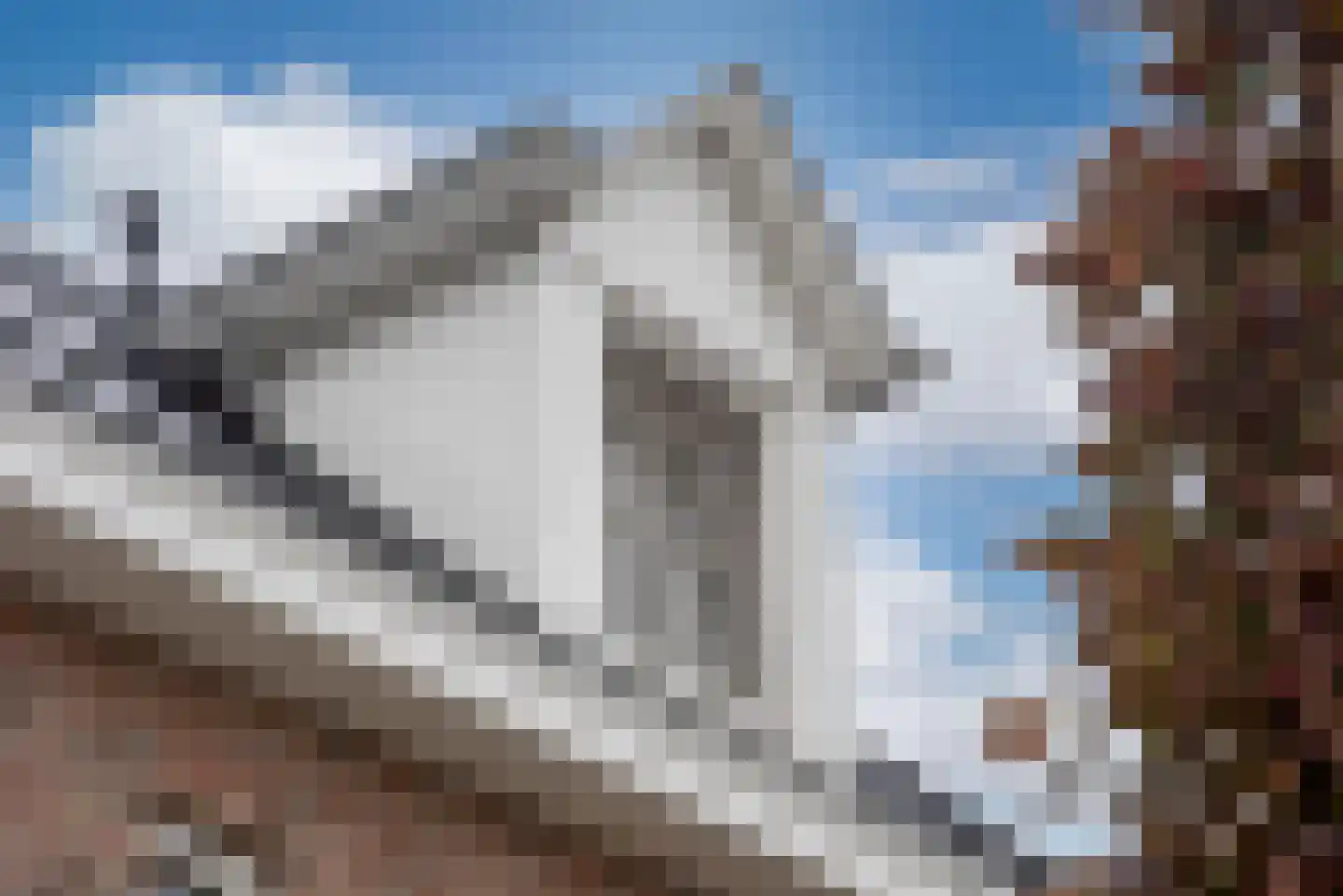 Leeghwaterlaan 1 Almelo thumbnail 35