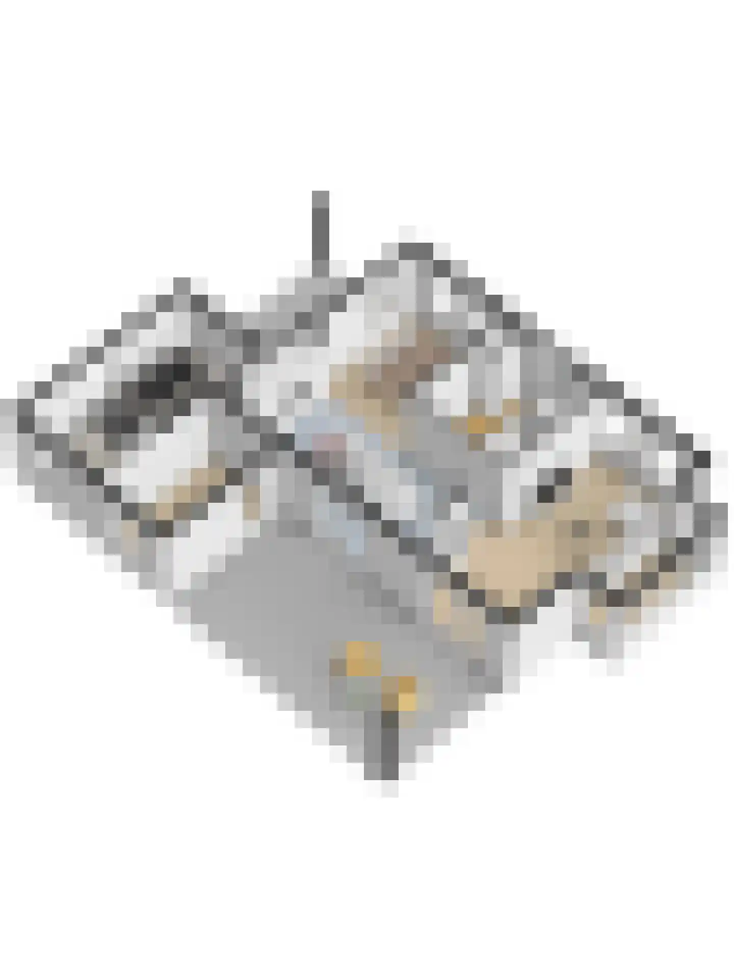 Leeghwaterlaan 1 Almelo thumbnail 48