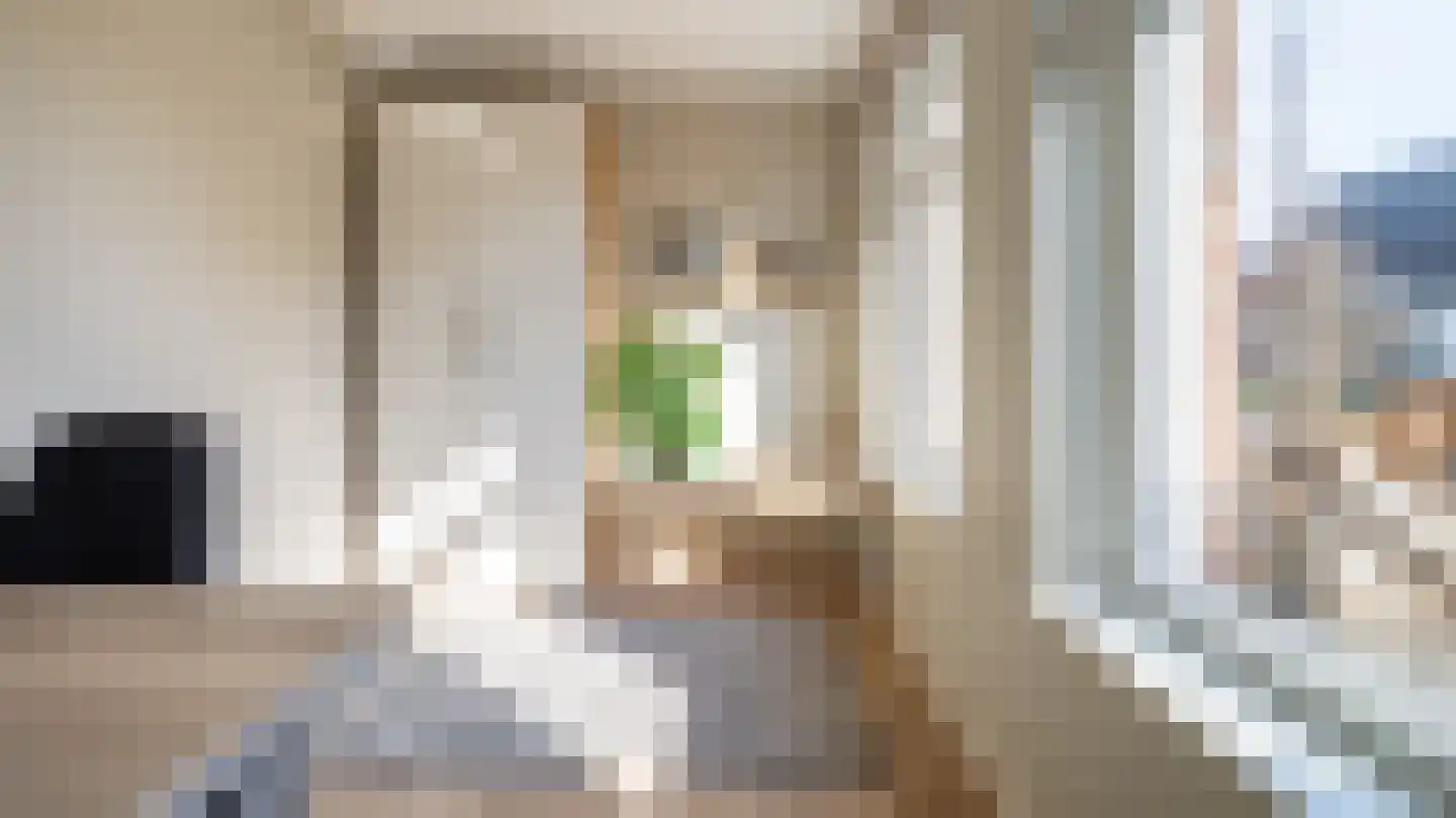 Leeghwaterlaan 11 Almelo thumbnail 16