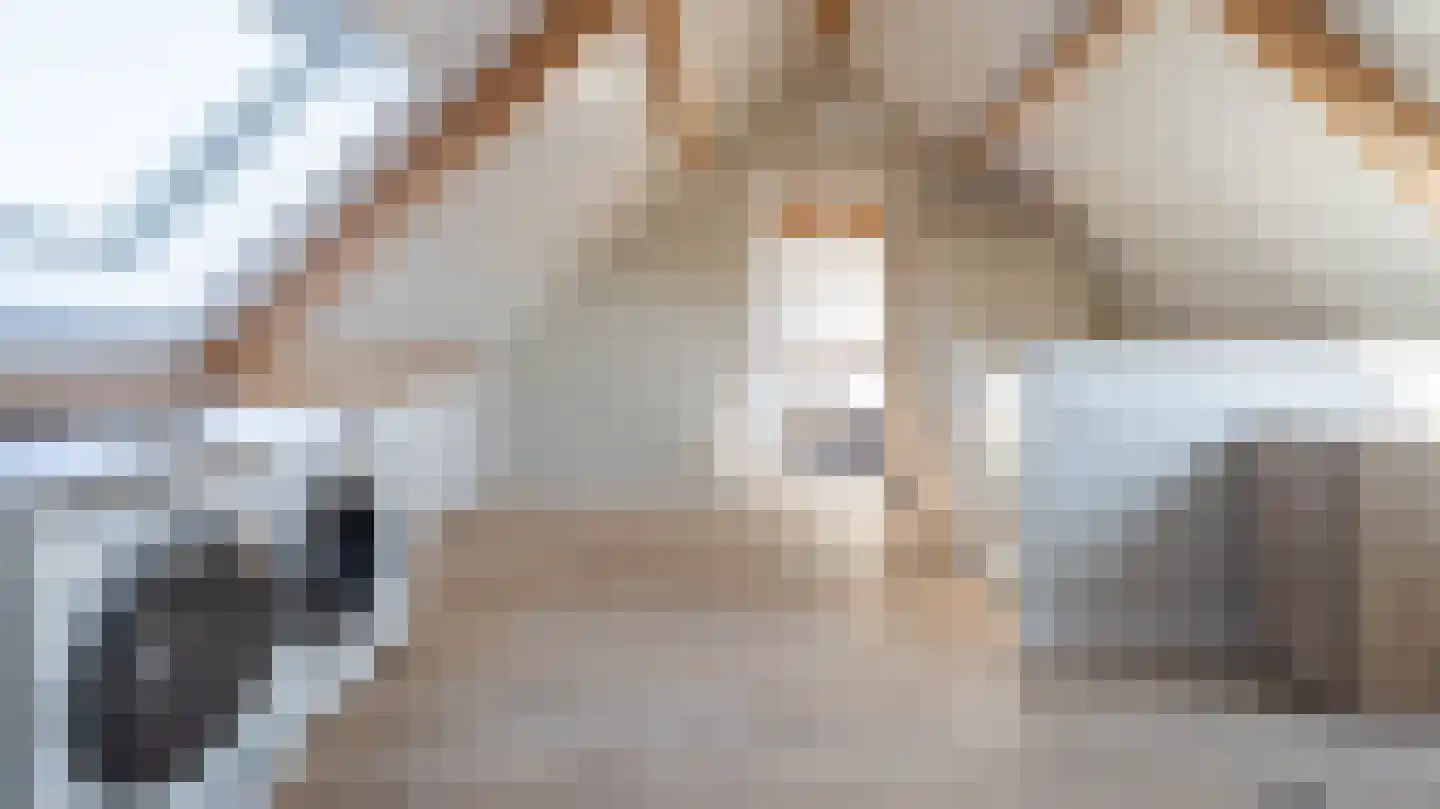 Leeghwaterlaan 11 Almelo thumbnail 36