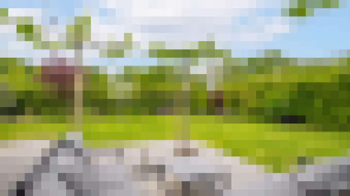 Leeghwaterlaan 11 Almelo thumbnail 38