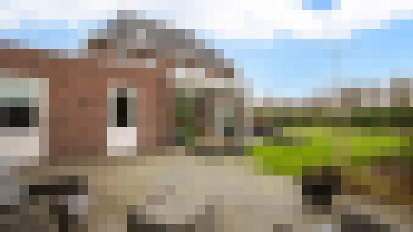 Leeghwaterlaan 11 Almelo thumbnail 40