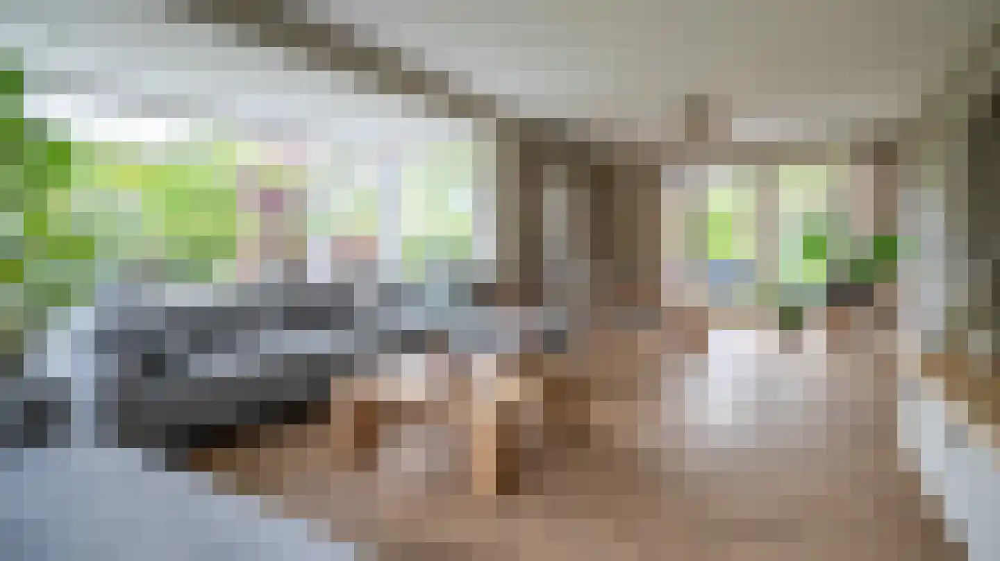 Leeghwaterlaan 11 Almelo thumbnail 8