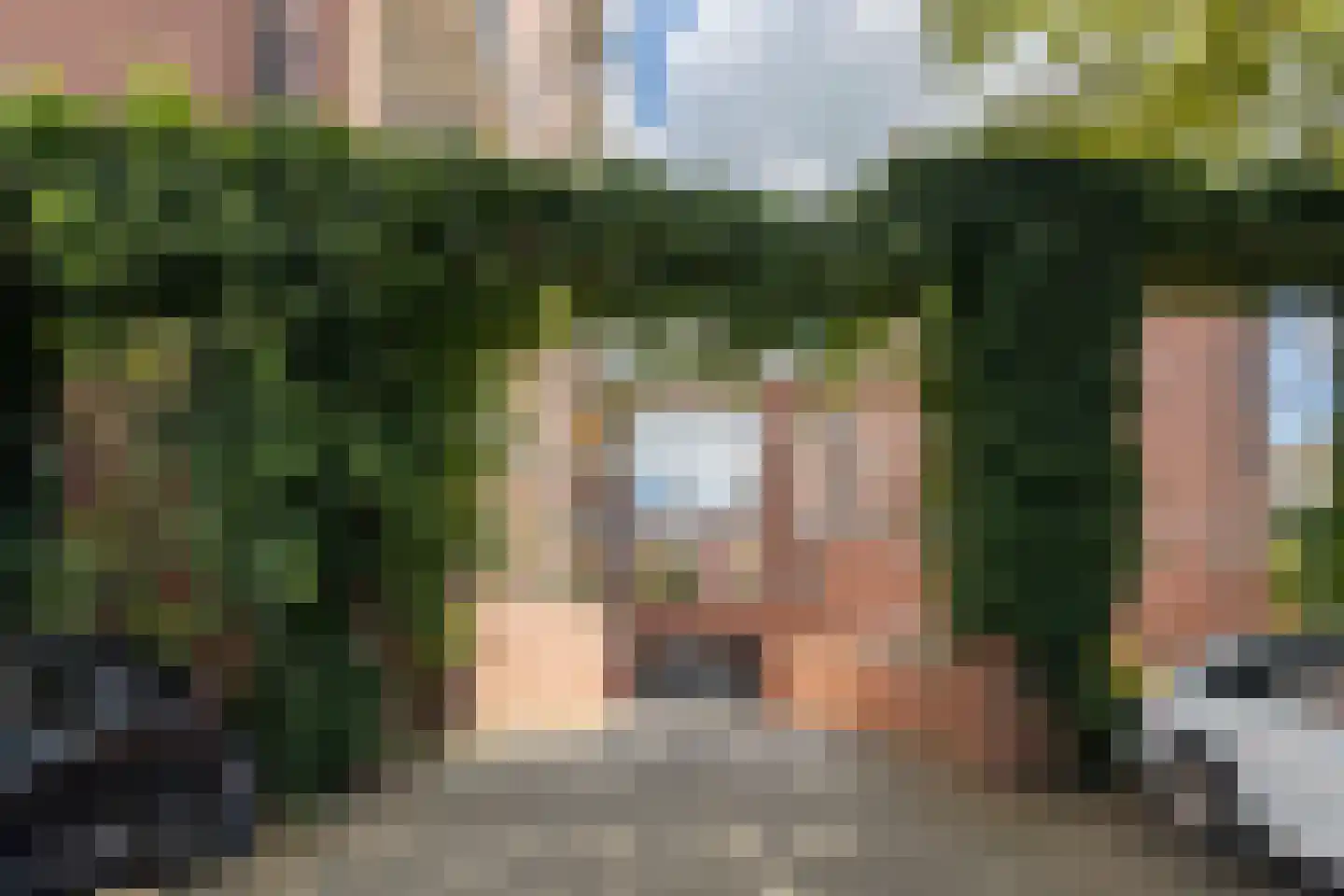 Leeghwaterlaan 123 's-Hertogenbosch thumbnail 28