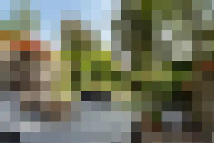 Leeghwaterlaan 13 Deventer thumbnail 27